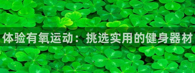 征途国际招商电话地址:体验有氧运动:挑选实用的健身器材