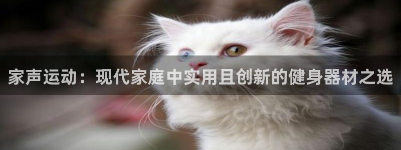 征途国际集团官网首页网址:家声运动:现代家庭中实用且创新的健