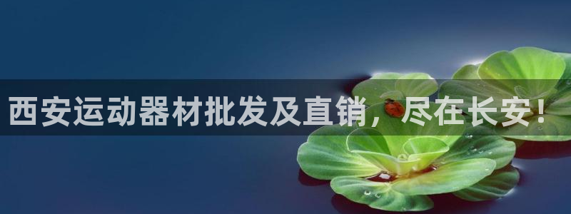 征途国际招商电话号码是多少啊:西安运动器材批发及直销,尽在长